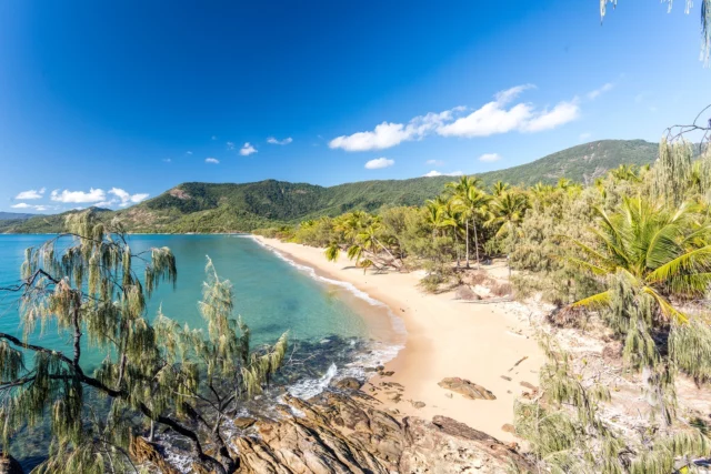 Oak Beach, a secluded beach, is just steps away from the tranquility of Thala.
Feel the soft sand, listen to the waves, and immerse yourself in the untouched beauty of Thala Beach Nature Reserve. 🌴✨

📸 @marcpeterphotography 
.
.
.
#exploreTNQ #portdouglasdaintree #portdouglas #thisisqueensland #thalabeach #seeaustralia #ecotourism #visitportdouglas #explorecairnsGBR #resort #travel #beach